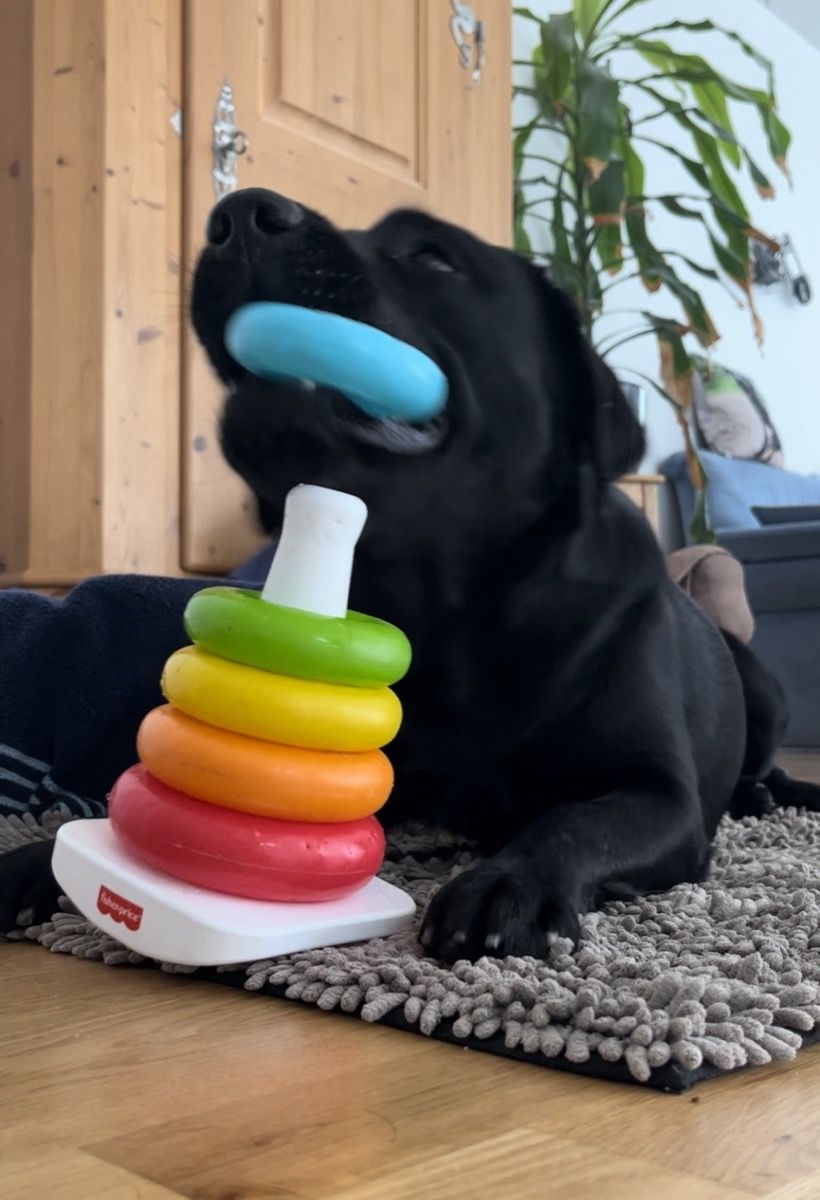 Nino liegt neben einem bunten Stapelspielzeug und nimmt einen Ring mit dem Mund heraus.