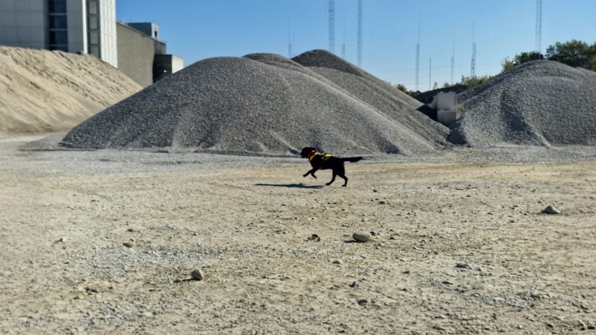 Nino läuft über eine weite Kiesfläche vor hohen Kieshaufen unter blauem Himmel.