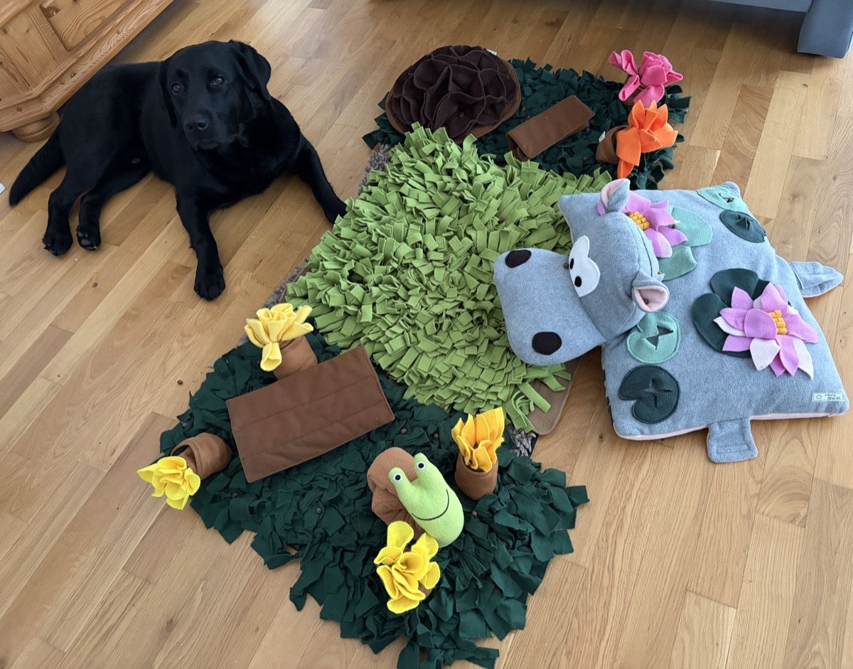 Nino liegt neben einem selbstgebauten Schnüffelteppich aus grünen Fleece-Streifen mit eingearbeiteten Filzblumen und Figuren.