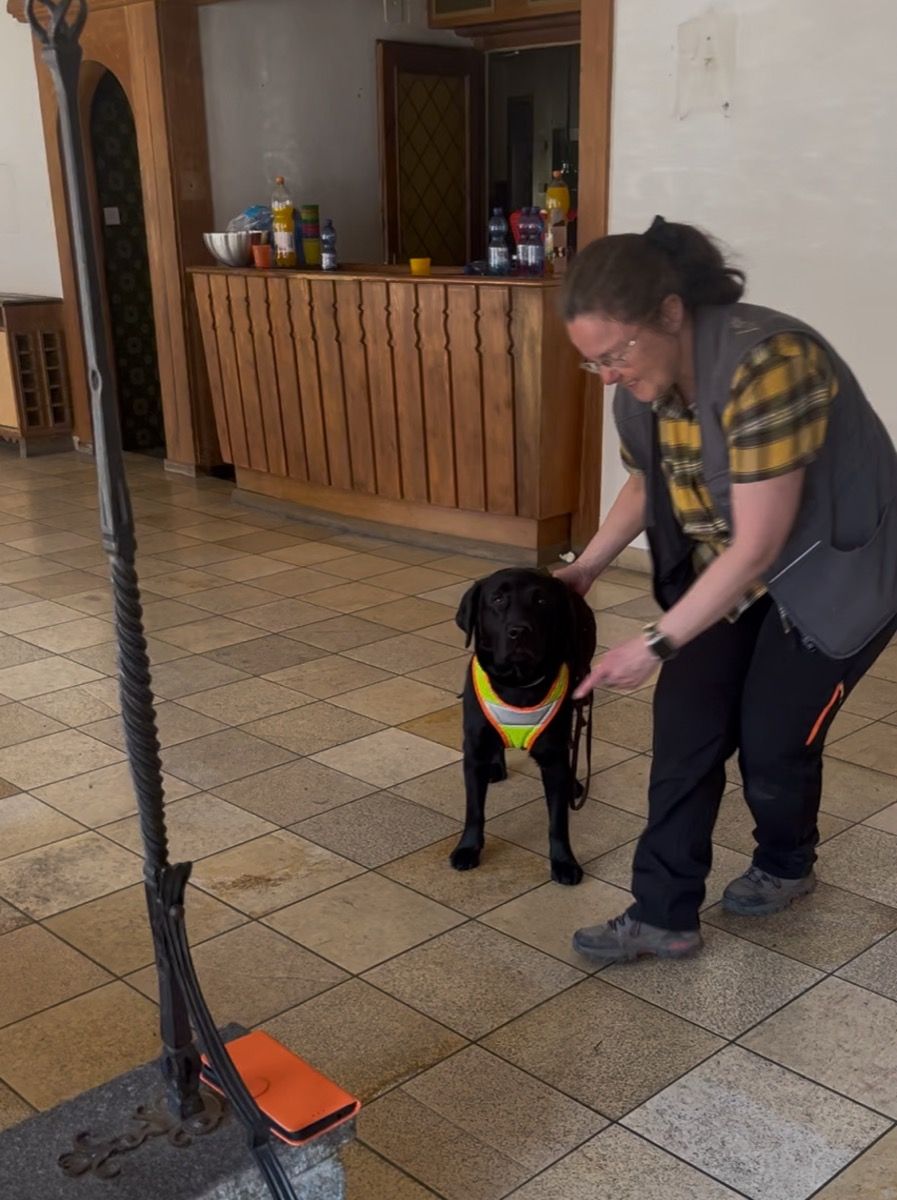 Manuela beugt sich zu Nino in der Lobby des Hotels Drei Könige, Nino trägt das gelbe Suchgeschirr.