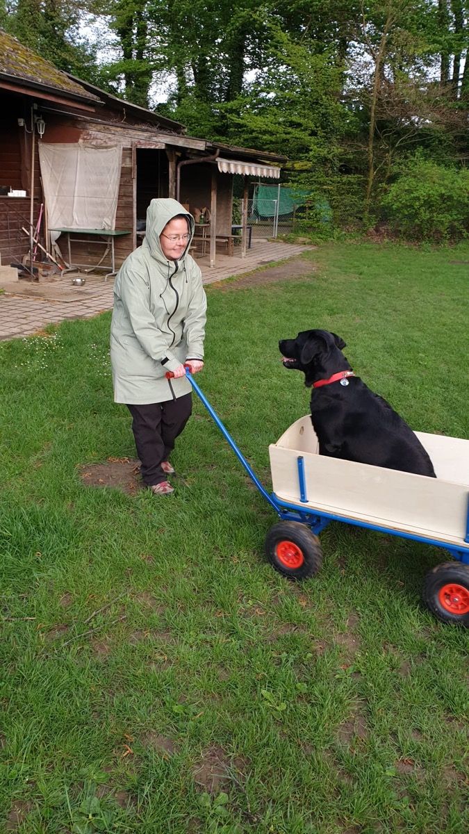 Nino sitzt im Bollerwagen, Manuela zieht ihn über den Rasen im Garten.