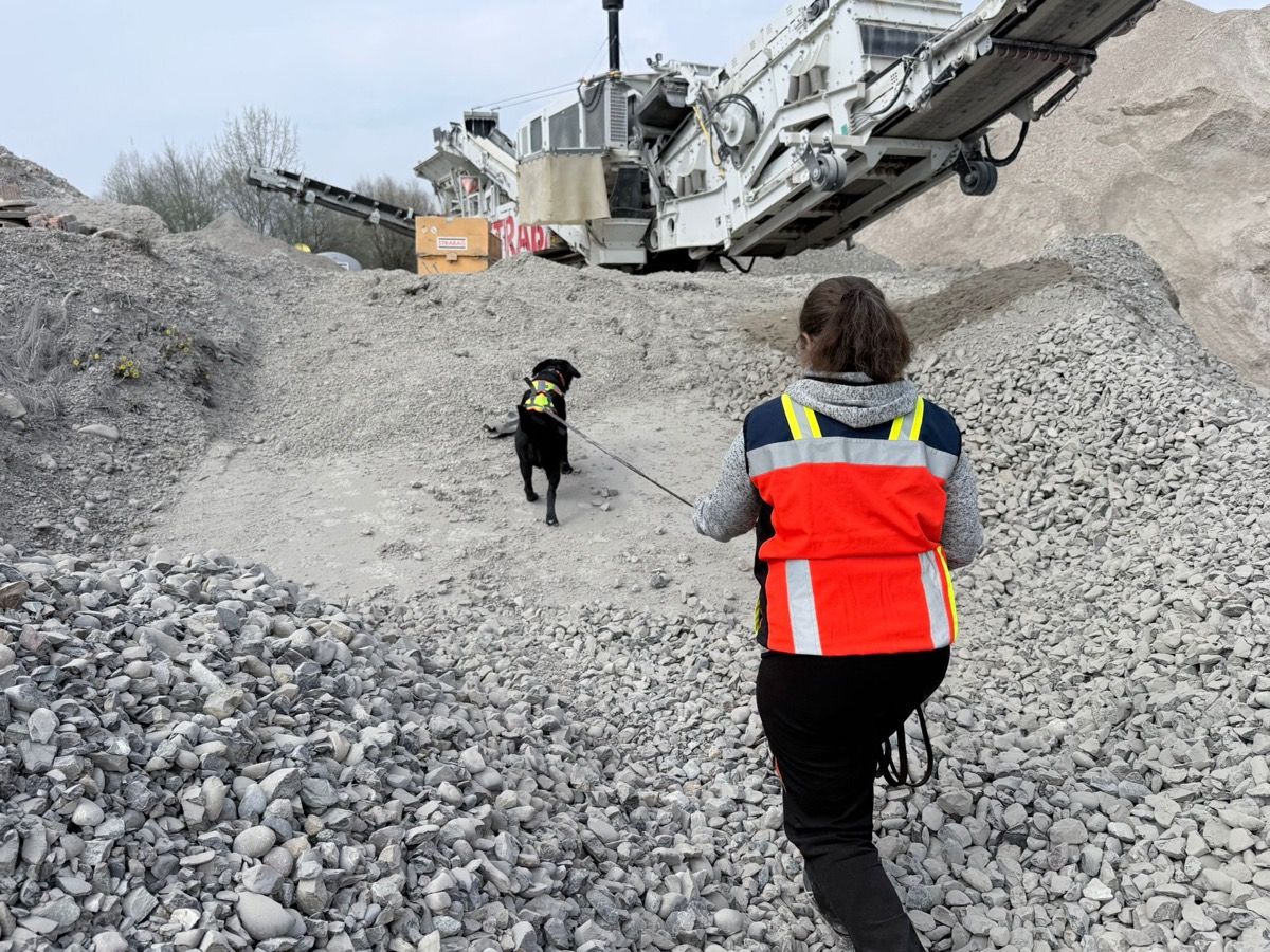 Manuela geht mit Nino über eine Kiesfläche auf eine grosse Brechanlage zu.