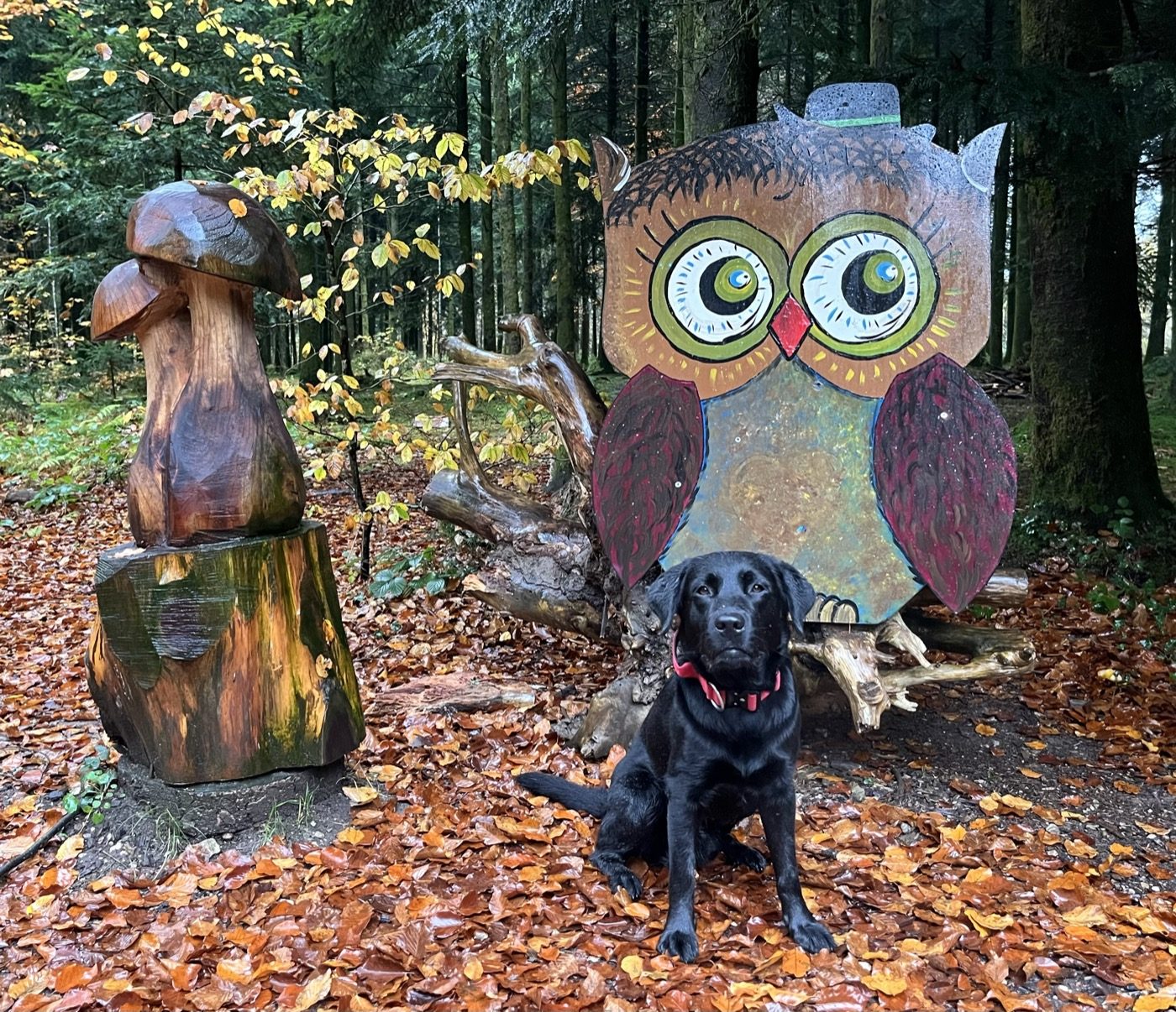 Nino sitzt vor einer grossen geschnitzten Eulenfigur im Wald.