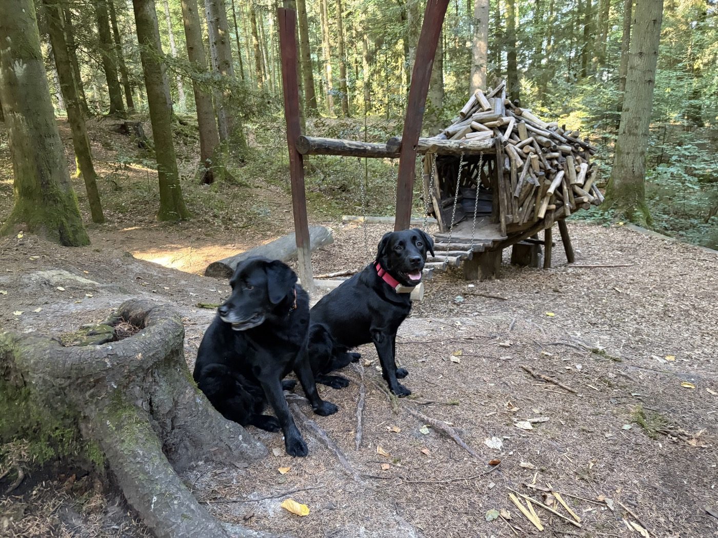 Nino und Joschi (Ninos Onkel) sitzen vor einer kleinen Kobold-Waldhütte.