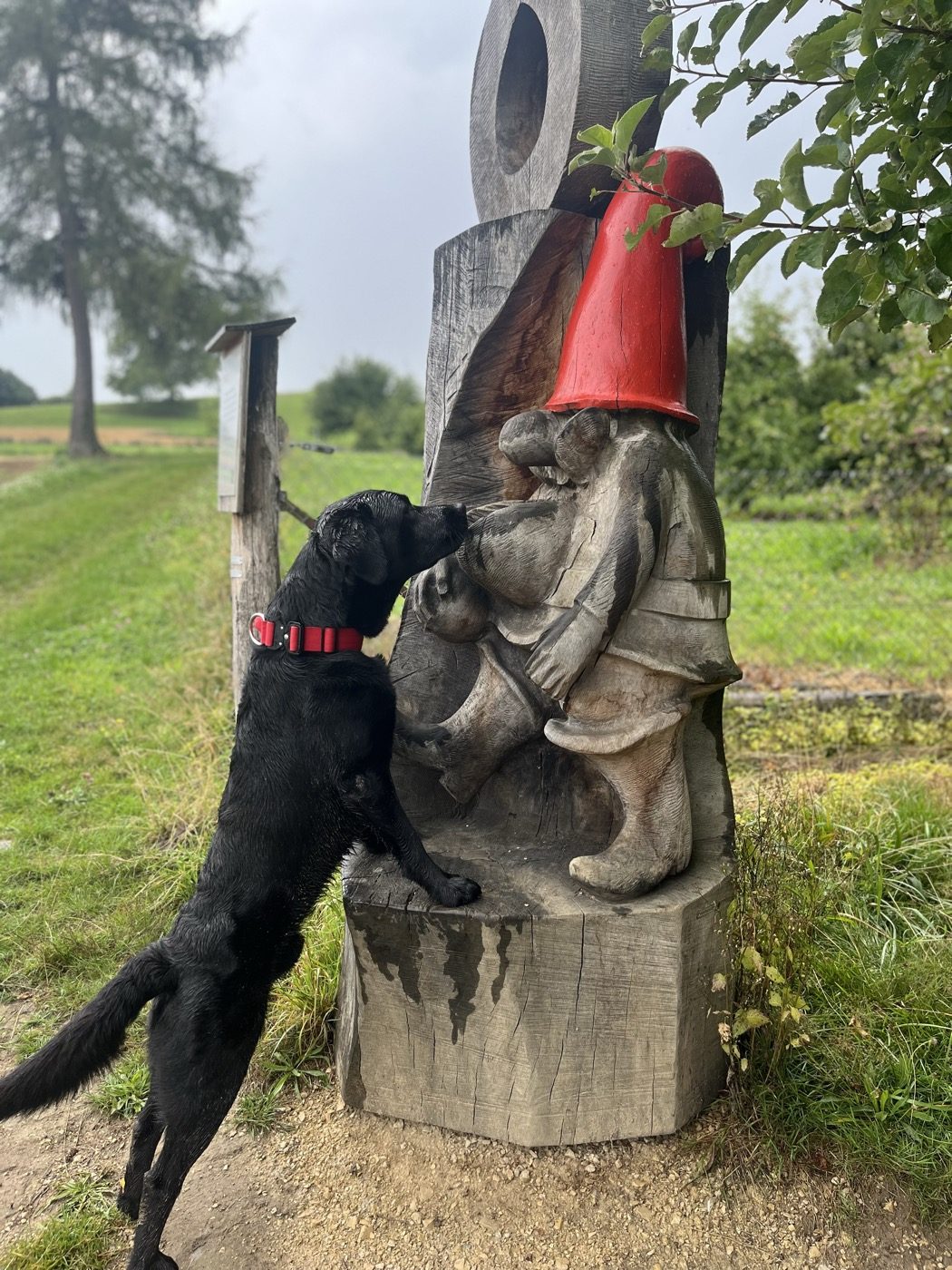 Nino stellt sich an einer Holzfigur mit rotem Zwergenhut hoch.
