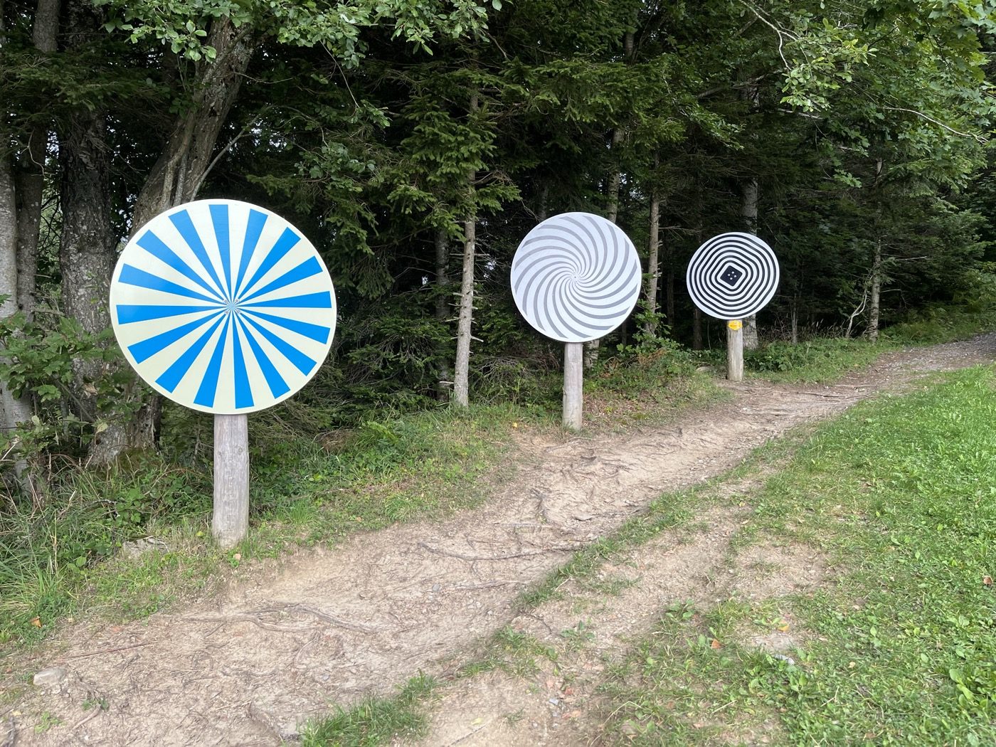 Drei bunte Klangscheiben-Stationen entlang des Sinnespfads am Ratenpass, im Hintergrund Wald.