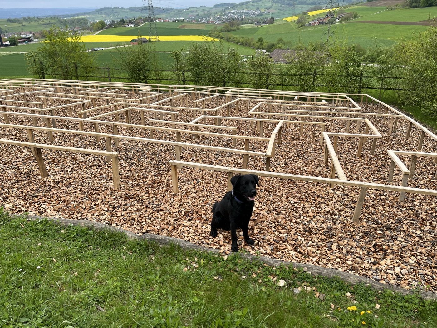 Nino steht in einem begehbaren Heckenlabyrinth, von oben fotografiert.