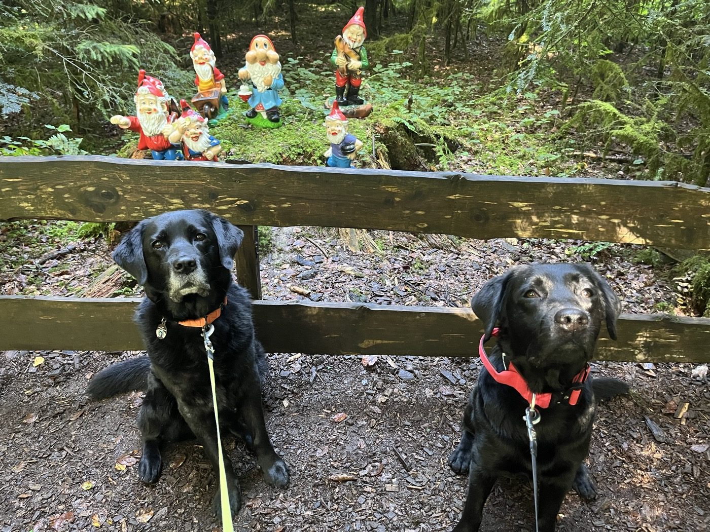 Nino und Joschi (Ninos Onkel) sitzen vor einer Gruppe hölzerner Gartenzwerg-Figuren im Wald.