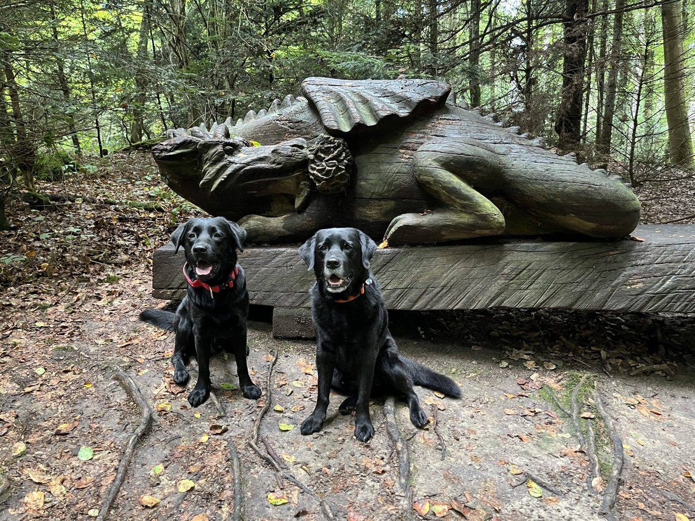 Nino und Joschi (Ninos Onkel) sitzen vor einer liegenden Drachenskulptur im Wald.