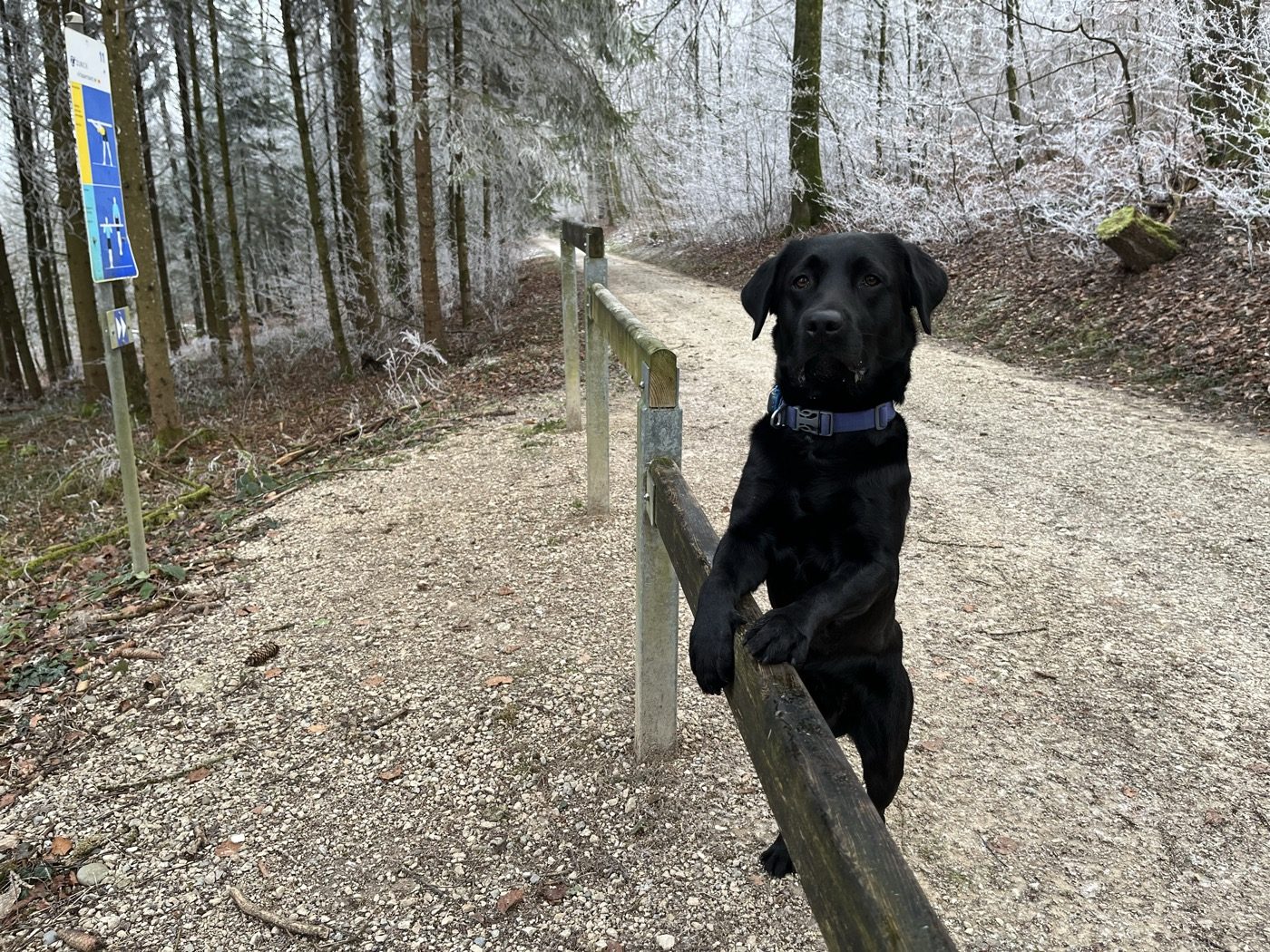 Nino steht auf einem Balancierbalken beim Vita Parcours Birr-Lupfig, daneben der Wegweiser.