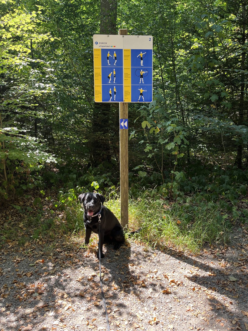 Nino sitzt vor einer Übungstafel des Vita Parcours Lenzburg im Wald.