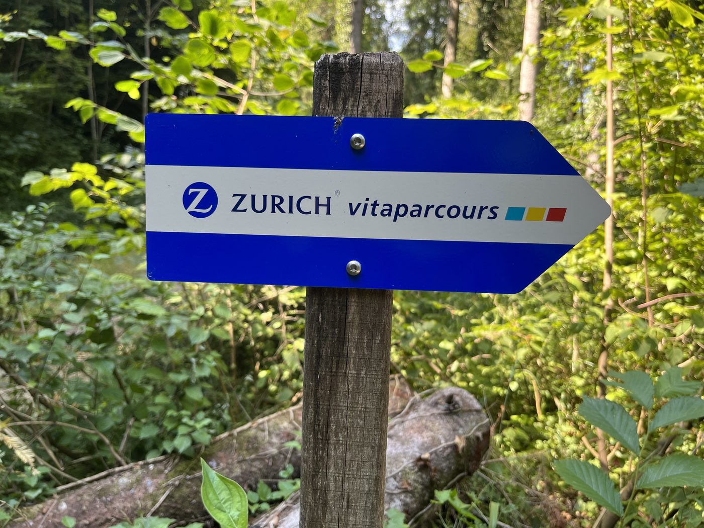 Wegweiser „Zurich vitaparcours“ an einem Baumstamm im Wald bei Wettingen.