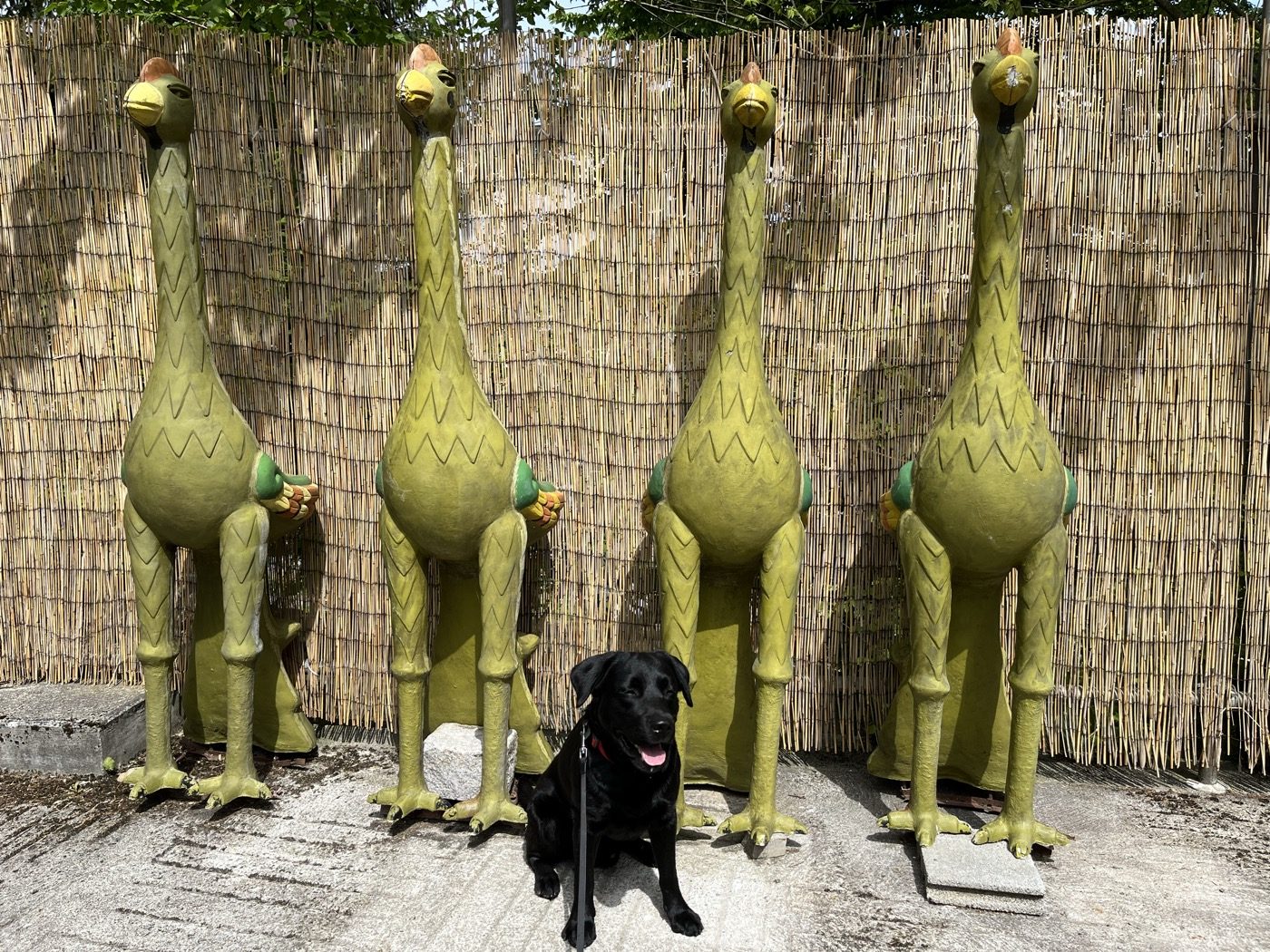 Nino sitzt vor vier grossen, moosgrünen Vogelskulpturen von Bruno Weber.