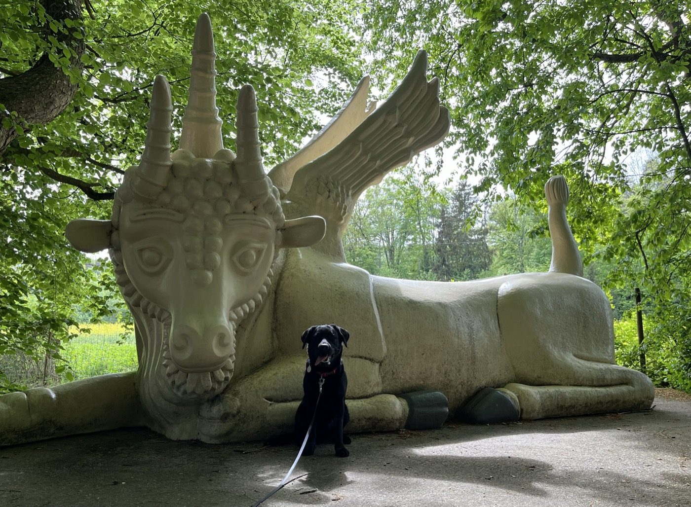 Nino liegt vor einer geflügelten Drachenskulptur von Bruno Weber.